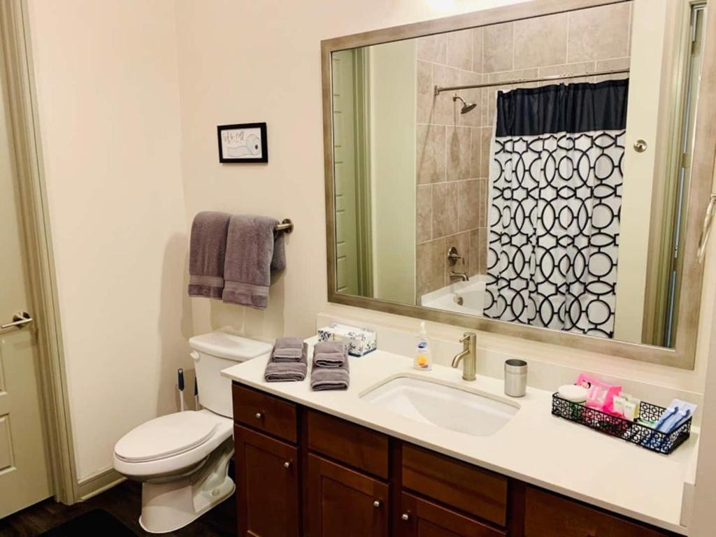 Downtown Apt Free Parking - Pool - Gym - Fully Kitchen Houston Exterior photo